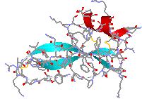 Obésité et gènétique VNTR5 genes insuline