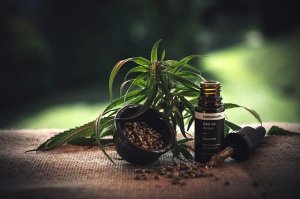 Les bienfaits du CBD (cannabidiol) sur le corps