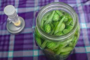  Les produits fermentés : bienfaits pour la santé