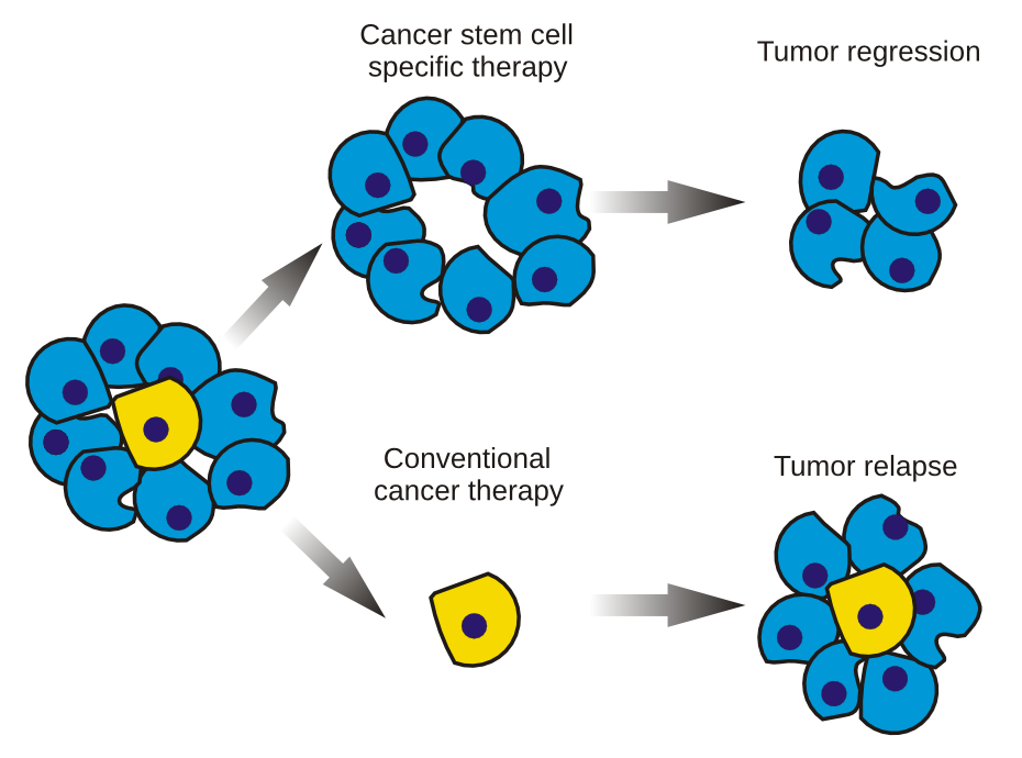 Plantes naturelles cancers