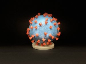 virucide-virologie-destruction